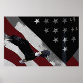 American Eagle 36 x 24 Poster (Vorne)