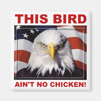 American Eagle Ain No Chicken Fridge Magnet