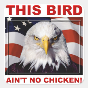 American Eagle Ain't No Chicken Sticker Aufkleber