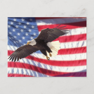 American Eagle and Flag Postcard Postkarte