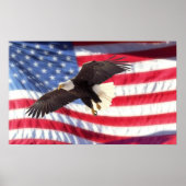American Eagle and Flag Poster (Vorne)