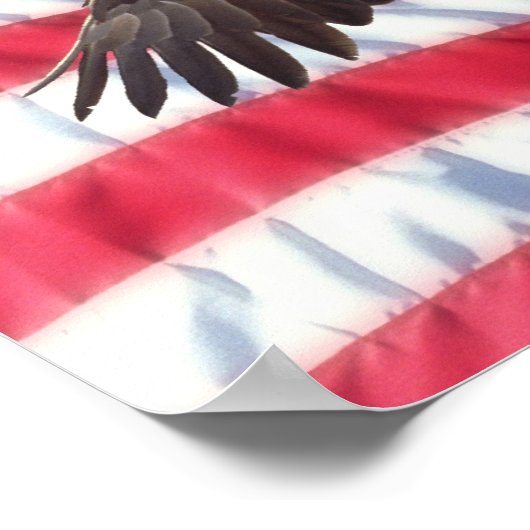 American Eagle and Flag Poster (Ecke)