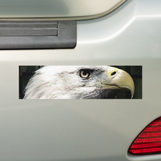 American Eagle Autoaufkleber (Auf Auto)