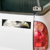 American Eagle Autoaufkleber (Auf Lkw)