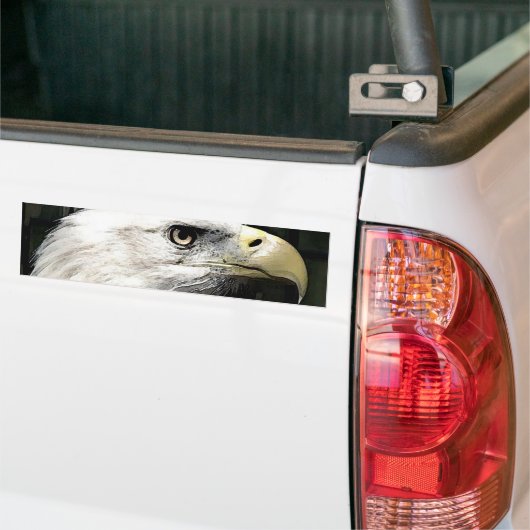 American Eagle Autoaufkleber (Auf Lkw)