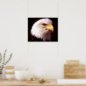 American Eagle Bald Eagle Poster Print (Küche)