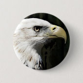 American Eagle Button (Vorderseite)