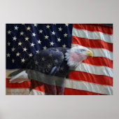 American Eagle Flag Print Poster (Vorne)
