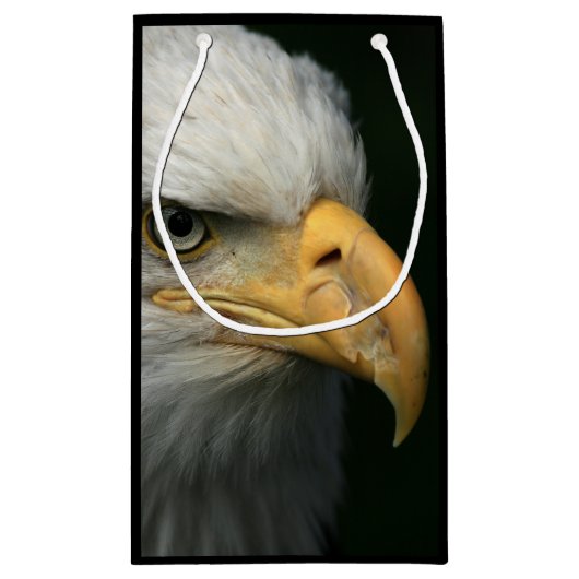 American Eagle Kleine Geschenktüte (Rückseite)