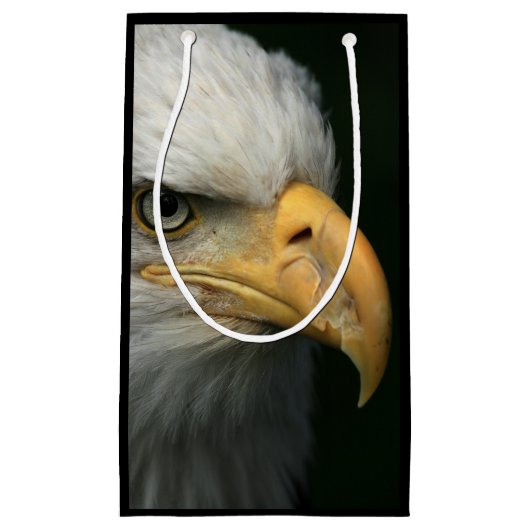 American Eagle Kleine Geschenktüte (Vorderseite)