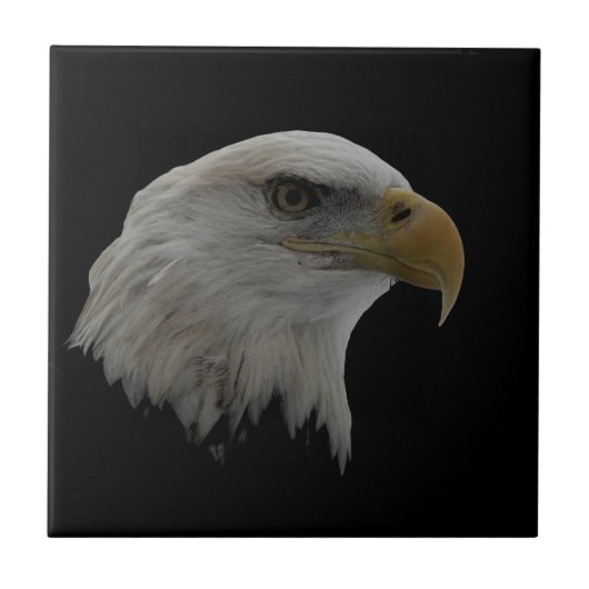 American Eagle Leadership Motivierend Fliese (Vorderseite)