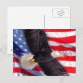 American Eagle mit American Flag Postcard Postkarte (Vorne/Hinten)