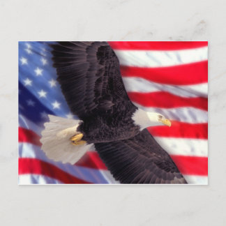 American Eagle mit American Flag Postcard Postkarte