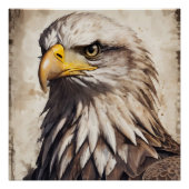 American Eagle no 5 Glossy Poster (Vorderseite)