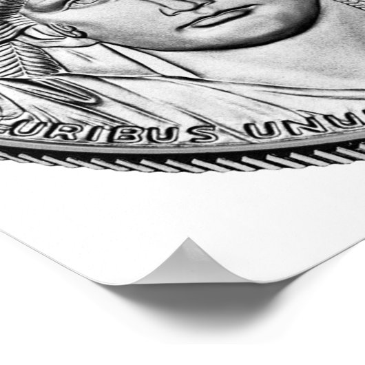 American Eagle Platinum Reverse Proverse Coins Poster (Ecke)