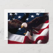 American Eagle Postcard 1 Postkarte (Vorne/Hinten)
