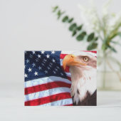 American Eagle Postcard 6 Postkarte (Stehend Vorderseite)