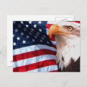 American Eagle Postcard 6 Postkarte (Vorne/Hinten)