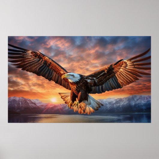 American Eagle Poster (Vorne)