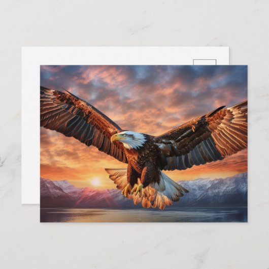 American Eagle Postkarte (Vorne/Hinten)