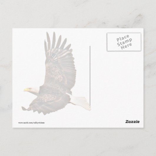 American Eagle Postkarte (Rückseite)