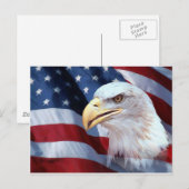 American Eagle Postkarte (Vorne/Hinten)