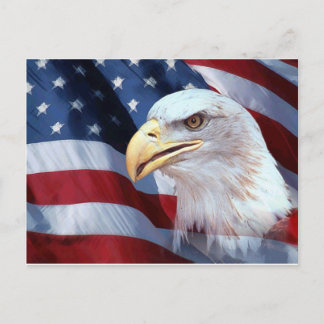 American Eagle Postkarte