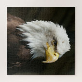 American Eagle Puzzle (Horizontal)