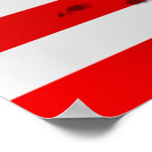 American Eagle USA Flaggen-Karte der USA Poster (Ecke)