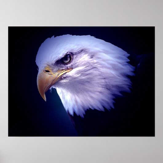 American Eagles - Bald Eagle Posters Prints Poster (Vorne)