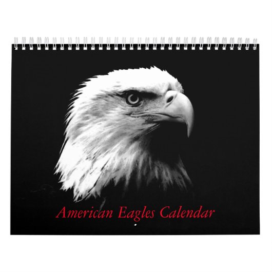 American Eagles Kalender (Titelbild)