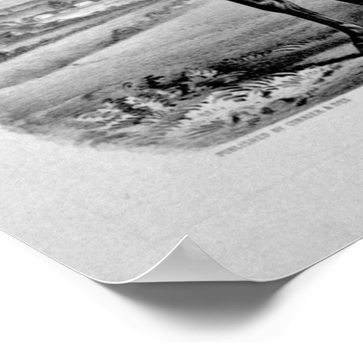 American Eclipse Poster (Ecke)