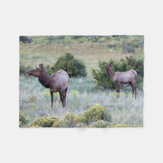 American Elk | Colorado Fleecedecke (Vorderseite (Horizontal))