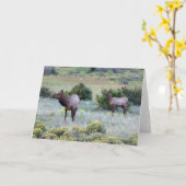 American Elk | Colorado Karte (Gelbe Blume)