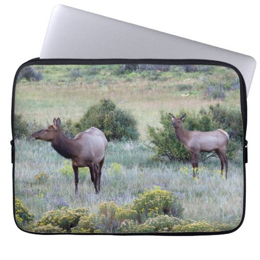 American Elk | Colorado Laptopschutzhülle (Vorderseite)