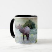 American Elk | Colorado Tasse (Vorderseite Links)