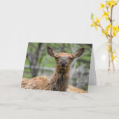 American Elk Notecard Karte (Gelbe Blume)