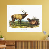 American Elk oder Wapiti Deer von Audubon Leinwanddruck (Insitu (Wohnzimmer))