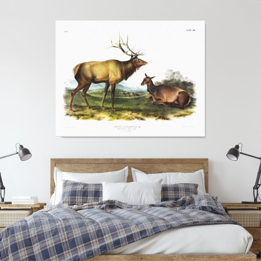 American Elk oder Wapiti Deer von Audubon Leinwanddruck (Insitu (Schlafzimmer))