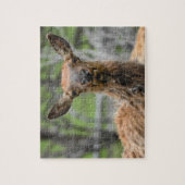 American Elk Puzzle (Vertikal)