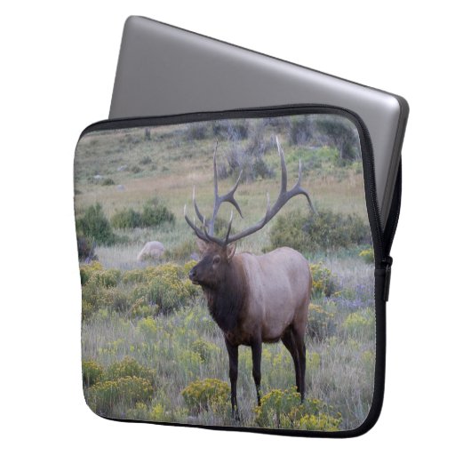 American Elk | Rocky National Park, Colorado Laptopschutzhülle (Vorderseite Links)