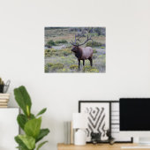American Elk | Rocky National Park, Colorado Poster (Heimbüro)