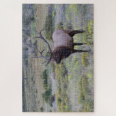 American Elk | Rocky National Park, Colorado Puzzle (Vertikal)