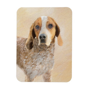 American English Coonhound Painting - Dog Art Magnet