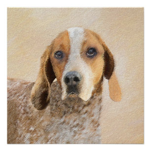 American English Coonhound Painting - Dog Art Poster