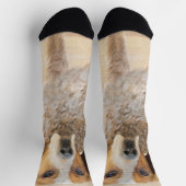American English Coonhound Painting - Dog Art Socken (Oben)
