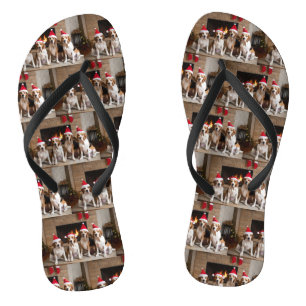 American English Foxhound Fireplace Weihnachten Badesandalen