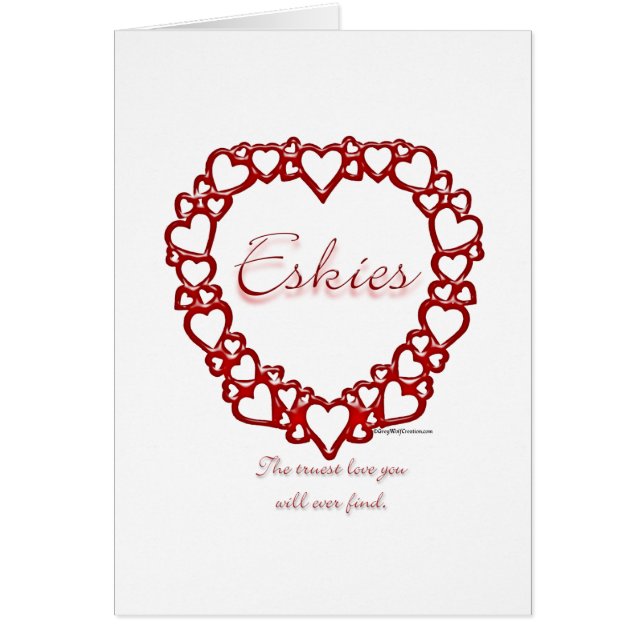 American Eskie True Love (Vorne)