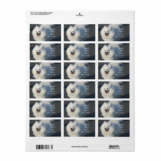 American Eskimo Adressetiketten (Vorne)