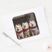 American Eskimo am Feuerplatz Weihnachten Quadratischer Aufkleber (Umschlag)